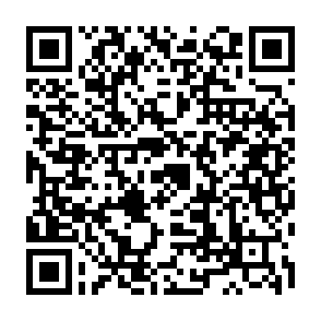 大会専用申込フォーム